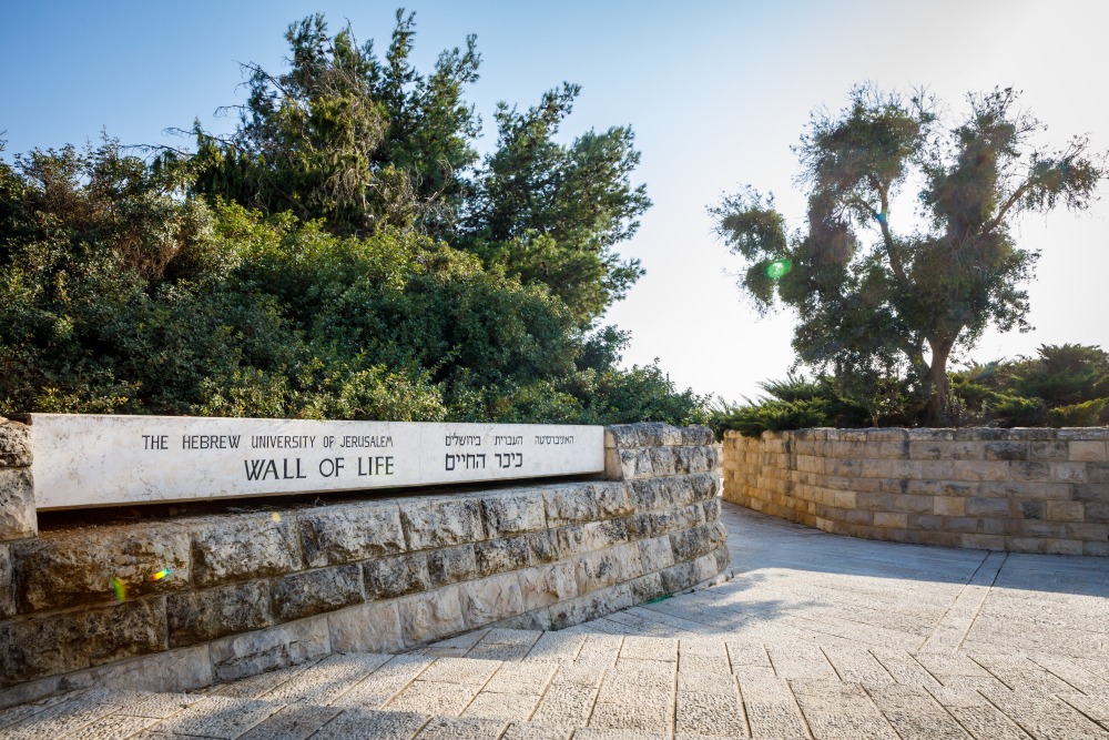 Wall of life