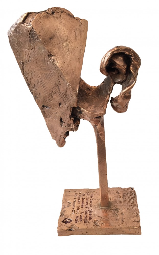 The Scopus Award