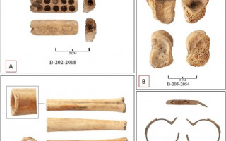 What Animal Bones Reveal About Life on the Medieval Liao Frontier