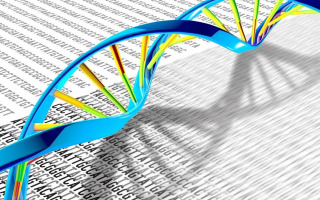 Mapping DNA's Hidden Switches: A Methylation Atlas Mapping DNA's Hidden Switches: A Methylation Atlas