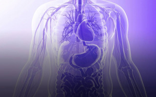 Proteins Revolutionize Organ Preservation