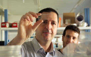 Breakthrough in Antibiotic Safety:  Bionic Technology Blends Sensors and Human Tissue to Create Smart “Kidney-Chip”