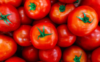 Hebrew University Scientists Develop Biosensor for Identifying Crop Blight