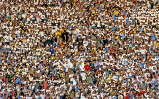 Genetically Diverse Crowds are Wiser