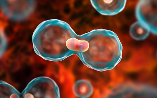 The Hebrew University Congratulates Prof. Yinon Ben-Neriah on Winning the Israel Prize for his Groundbreaking Research in Cancer The Hebrew University Congratulates Prof. Yinon Ben-Neriah on Winning the Israel Prize for his Groundbreaking Research in Cancer