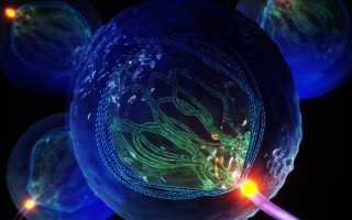 cell