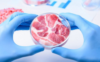 Breakthrough in Cost-Effective Production of Cultivated Meat