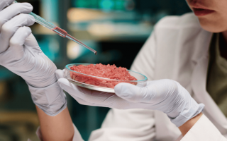 No More Antibiotics? Scientists Pioneer a Safer Way to Protect Cultured Meat