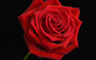 Scientists Discover New Way to Keep Quantum Spins Coherent for Longer Scientists Discover New Way to Keep Quantum Spins Coherent for Longer