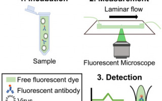 Fast and Accurate Virus Detection Method using 3D printed Setup