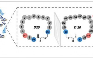 Highly-Stabilized and Selective Inhibitor for Cancer-Causing Enzyme Revealed