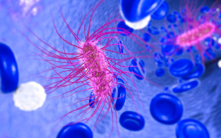 How Bacteria Outsmart the Immune System:  Two-Pronged Strategy Revealed