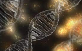 DNA Evidence Triples Prosecution Rates in Criminal Cases, Reveals New Study in Israel