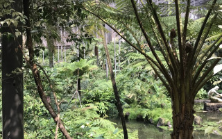 300 Million Years of Hidden Genetic Instructions Shaping Plant Evolution Revealed