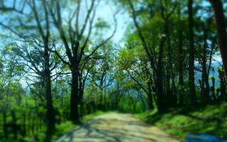  Protecting Wildlife from Genetic Collapse with Newly Identified "Early Warning Signals"