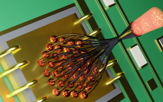 Massive-scale spatial multiplexing with 3D-printed Photonic Lanterns Achieved by Researchers