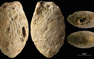 15,000 Years Ago, Children Shaped Clay, Long Before Pottery or Farming