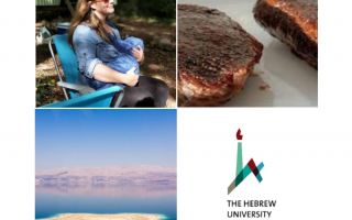 Unveiling Hebrew University’s Top 7 Discoveries of 2023 Unveiling Hebrew University’s Top 7 Discoveries of 2023