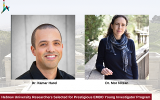 Hebrew University Researchers Selected for Prestigious EMBO Young Investigator Program