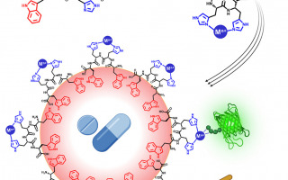 Drug Delivery Innovation: Multifunctional System Based on Switchable Peptide-Stabilized Emulsions Drug Delivery Innovation: Multifunctional System Based on Switchable Peptide-Stabilized Emulsions