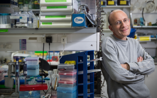 New DNA Methylation-Based Method for Precise Assessment of  Pancreas Cell Composition