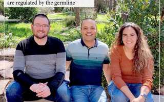 Germline Regulation and Sex Differences: How They Impact Lifespan in Vertebrates - Insights from a New Study