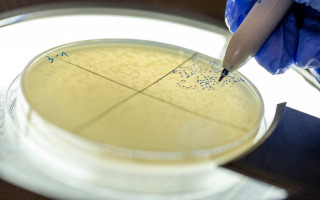 Tiny Viral Switch Offers Hope Against Drug-Resistant Bacteria