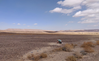 New Study Reveals Larger Insects' Critical Role in Decomposition in Arid Ecosystems