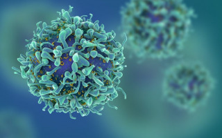 T-Cell: Unlocking Immunity with New Insights into Activation