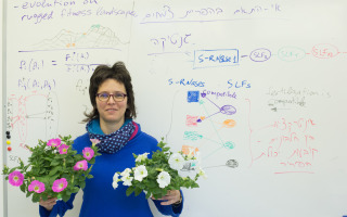 Hidden Mechanisms Behind Hermaphroditic Plant Self-Incompatibility Revealed