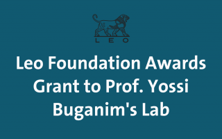 Prof. Yossi Buganim’s Lab at Hebrew University Secures $600K Grant from Leo Foundation for Pioneering Research on Fibroblast Dysfunction and Skin Rejuvenation