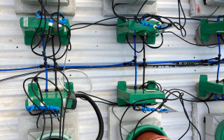 Hidden Signals in Water Reveal Disease Early in Tomato Plants
