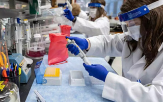 Muscle Disorder Caused by Key Protein Mutations Uncovered in New Study
