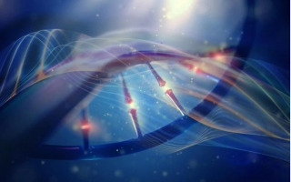 New Method Reveals DNA Methylation in Ancient Tissues, Unlocking Secrets of Human Evolution New Method Reveals DNA Methylation in Ancient Tissues, Unlocking Secrets of Human Evolution