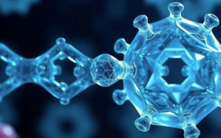 New Study Uncovers Key Pathways in  Hydronium and Hydroxide Ion Neutralization