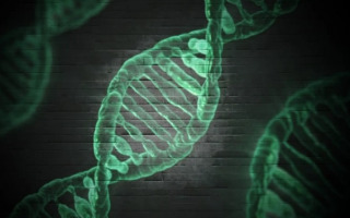 Cancer’s Super-Enhancers May Set the Map for DNA Breaks and Repair: A Key Clue to Why Tumors Become Aggressive and Genetically Unstable