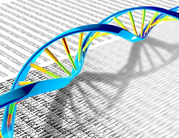 Mapping DNA's Hidden Switches: A Methylation Atlas