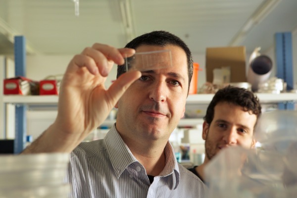 Breakthrough in Antibiotic Safety:  Bionic Technology Blends Sensors and Human Tissue to Create Smart “Kidney-Chip”
