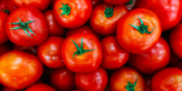 Hebrew University Scientists Develop Biosensor for Identifying Crop Blight