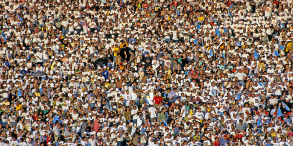 Genetically Diverse Crowds are Wiser
