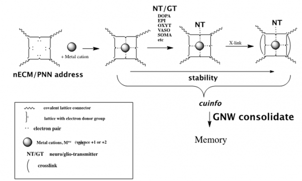 Unlocking Consciousness: A New Frontier in Neuroscientific Fusion