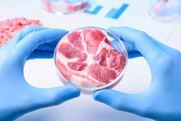 Breakthrough in Cost-Effective Production of Cultivated Meat