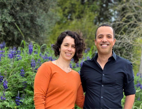 A New View of Aging: How the Immune System Rewrites Rapid Aging