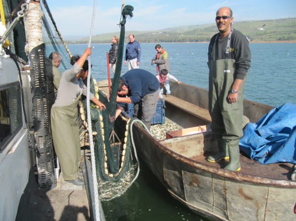 Revisiting Israel's Freshwater Fish Species List through Cutting-Edge DNA Barcoding Technology