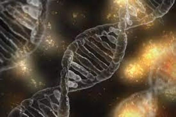 DNA Evidence Triples Prosecution Rates in Criminal Cases, Reveals New Study in Israel