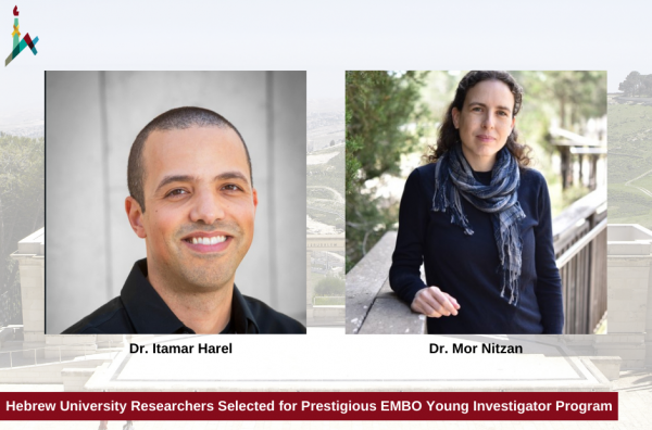 Hebrew University Researchers Selected for Prestigious EMBO Young Investigator Program