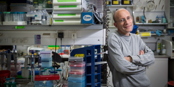 New DNA Methylation-Based Method for Precise Assessment of  Pancreas Cell Composition