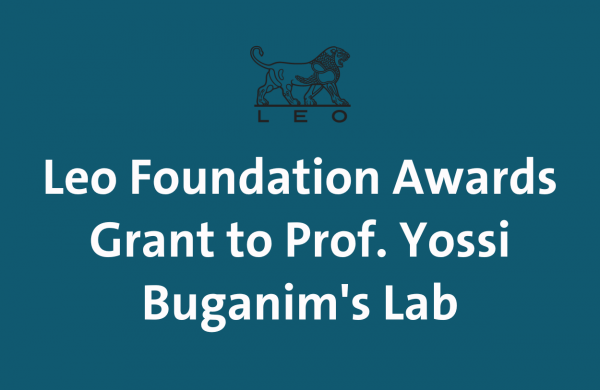 Prof. Yossi Buganim’s Lab at Hebrew University Secures $600K Grant from Leo Foundation for Pioneering Research on Fibroblast Dysfunction and Skin Rejuvenation