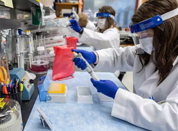 Muscle Disorder Caused by Key Protein Mutations Uncovered in New Study