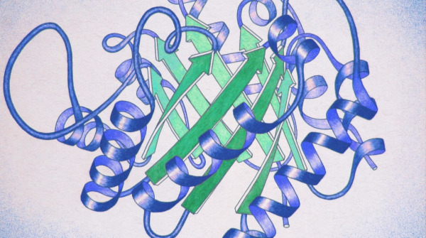 Ancient Protein Breaks the Rules of Molecular Handedness A Molecular Retelling of Alice in Wonderland Uncovers an Ancient Protein with an Unexpected Function Ancient Protein Breaks the Rules of Molecular Handedness A Molecular Retelling of Alice in Wonderland Uncovers an Ancient Protein with an Unexpected Function